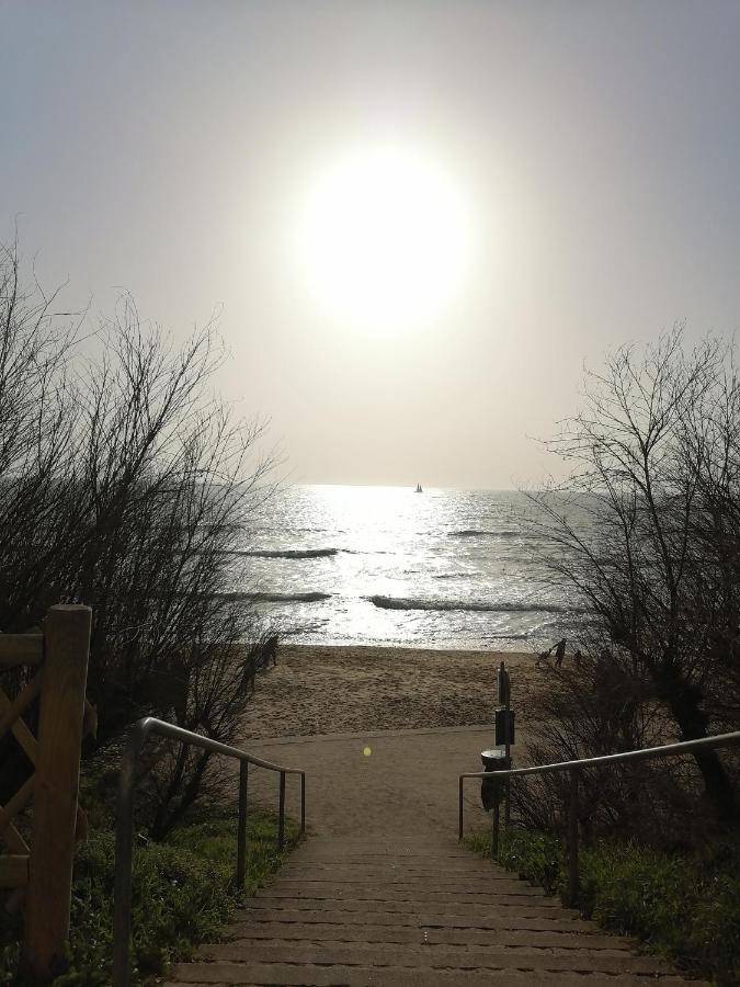 Le Cottage De Lyxie-Nature Et Sports Talmont-Saint-Hilaire المظهر الخارجي الصورة